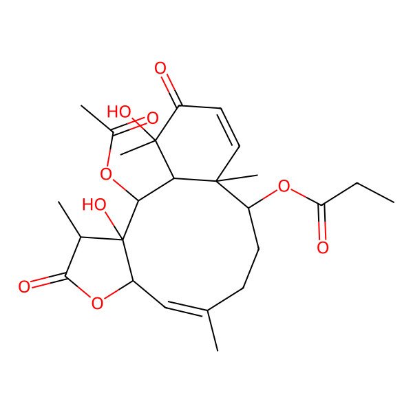 2D Structure of (2-Acetyloxy-3,17-dihydroxy-4,9,13,17-tetramethyl-5,16-dioxo-6-oxatricyclo[11.4.0.03,7]heptadeca-8,14-dien-12-yl) propanoate
