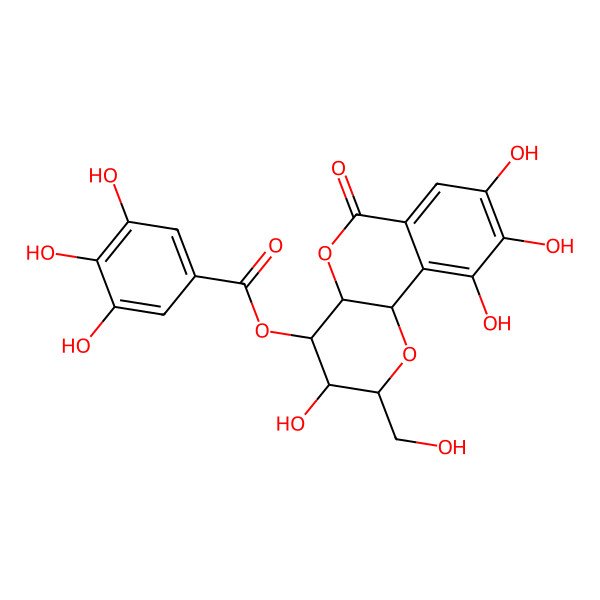 2D Structure of [3,8,9,10-tetrahydroxy-2-(hydroxymethyl)-6-oxo-3,4,4a,10b-tetrahydro-2H-pyrano[3,2-c]isochromen-4-yl] 3,4,5-trihydroxybenzoate