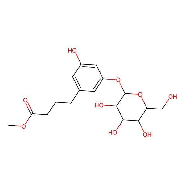 2D Structure of methyl 4-[3-hydroxy-5-[(2S,3R,4S,5S,6R)-3,4,5-trihydroxy-6-(hydroxymethyl)oxan-2-yl]oxyphenyl]butanoate