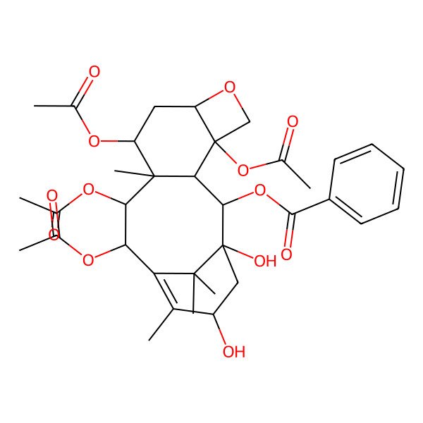 2D Structure of (4,9,11,12-Tetraacetyloxy-1,15-dihydroxy-10,14,17,17-tetramethyl-6-oxatetracyclo[11.3.1.03,10.04,7]heptadec-13-en-2-yl) benzoate