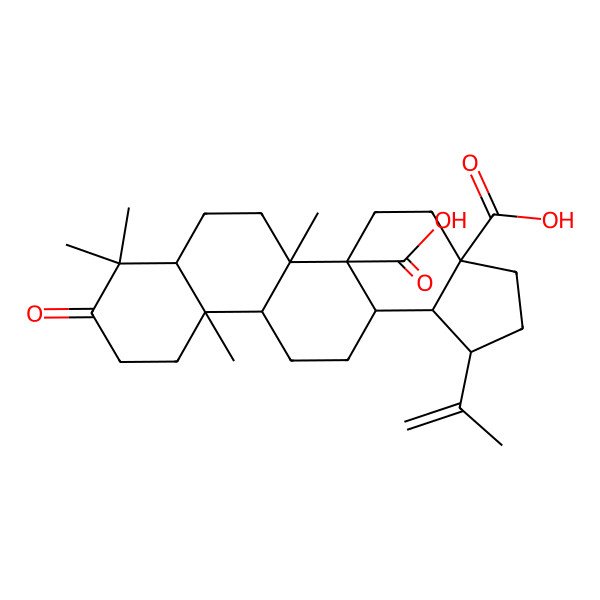 2D Structure of (1R,3aS,5aS,5bR,7aR,11aR,11bR,13aR,13bR)-5b,8,8,11a-tetramethyl-9-oxo-1-prop-1-en-2-yl-2,3,4,5,6,7,7a,10,11,11b,12,13,13a,13b-tetradecahydro-1H-cyclopenta[a]chrysene-3a,5a-dicarboxylic acid