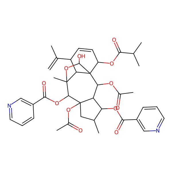 2D Structure of [(1R,2R,3R,4S,5S,7R,8R,9R,10R,11S,14R,15R)-2,7-diacetyloxy-15-hydroxy-5,9-dimethyl-14-(2-methylpropanoyloxy)-11-prop-1-en-2-yl-8-(pyridine-3-carbonyloxy)-16-oxatetracyclo[7.5.2.01,10.03,7]hexadec-12-en-4-yl] pyridine-3-carboxylate