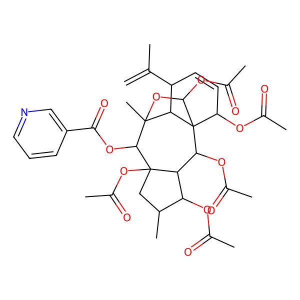 2D Structure of [(1R,2R,3R,4S,5S,7R,8S,9R,10R,11S,14R,15R)-2,4,7,14,15-pentaacetyloxy-5,9-dimethyl-11-prop-1-en-2-yl-16-oxatetracyclo[7.5.2.01,10.03,7]hexadec-12-en-8-yl] pyridine-3-carboxylate