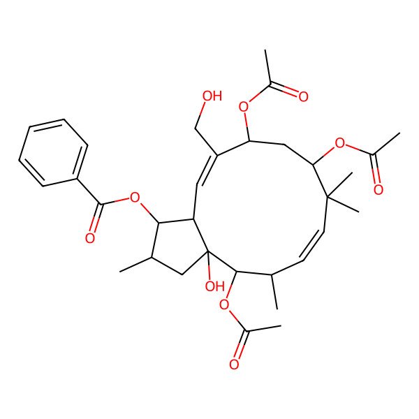 2D Structure of [(1S,2S,3aR,4S,5S,6E,9R,11R,12E,13aS)-4,9,11-triacetyloxy-3a-hydroxy-12-(hydroxymethyl)-2,5,8,8-tetramethyl-2,3,4,5,9,10,11,13a-octahydro-1H-cyclopenta[12]annulen-1-yl] benzoate