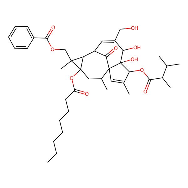 2D Structure of [(1S,4S,5S,6R,9S,10R,11R,12S,14R)-4-[(2R)-2,3-dimethylbutanoyl]oxy-5,6-dihydroxy-7-(hydroxymethyl)-3,11,14-trimethyl-12-octanoyloxy-15-oxo-11-tetracyclo[7.5.1.01,5.010,12]pentadeca-2,7-dienyl]methyl benzoate