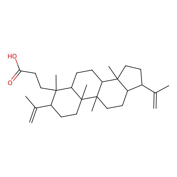 2D Structure of 3-[(3S,4S,5R,8R,9R,10R,13S,14S,17R)-4,9,10,14-tetramethyl-3,17-bis(prop-1-en-2-yl)-2,3,5,6,7,8,11,12,13,15,16,17-dodecahydro-1H-cyclopenta[a]phenanthren-4-yl]propanoic acid