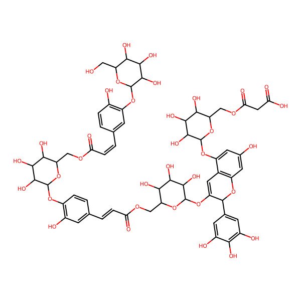 2D Structure of 3-oxo-3-[[(2R,3S,4S,5R,6S)-3,4,5-trihydroxy-6-[[(2R)-7-hydroxy-3-[(2S,3R,4S,5S,6R)-3,4,5-trihydroxy-6-[[(E)-3-[3-hydroxy-4-[(2S,3R,4S,5S,6R)-3,4,5-trihydroxy-6-[[(E)-3-[4-hydroxy-3-[(2S,3R,4S,5S,6R)-3,4,5-trihydroxy-6-(hydroxymethyl)oxan-2-yl]oxyphenyl]prop-2-enoyl]oxymethyl]oxan-2-yl]oxyphenyl]prop-2-enoyl]oxymethyl]oxan-2-yl]oxy-2-(3,4,5-trihydroxyphenyl)-2H-chromen-5-yl]oxy]oxan-2-yl]methoxy]propanoic acid