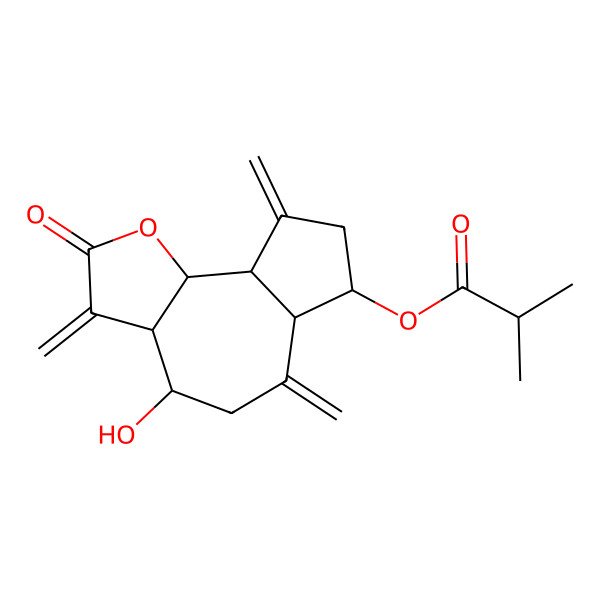 2D Structure of [(3aR,4S,6aR,7S,9aR,9bR)-4-hydroxy-3,6,9-trimethylidene-2-oxo-3a,4,5,6a,7,8,9a,9b-octahydroazuleno[4,5-b]furan-7-yl] 2-methylpropanoate