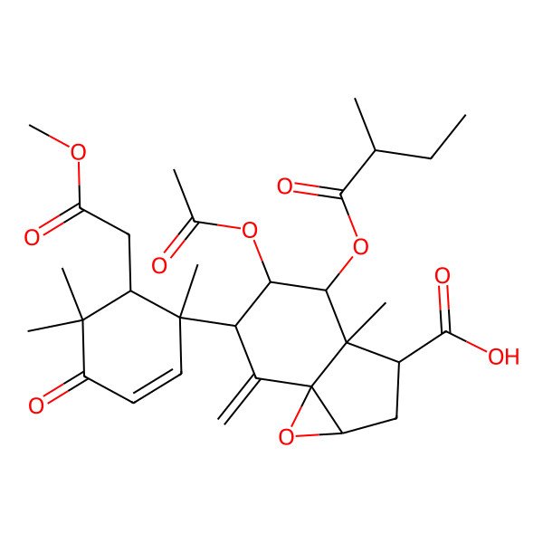 2D Structure of (1aR,3R,3aR,4R,5R,6R,7aS)-5-acetyloxy-6-[(1S,6R)-6-(2-methoxy-2-oxoethyl)-1,5,5-trimethyl-4-oxocyclohex-2-en-1-yl]-3a-methyl-4-[(2R)-2-methylbutanoyl]oxy-7-methylidene-1a,2,3,4,5,6-hexahydroindeno[3,3a-b]oxirene-3-carboxylic acid