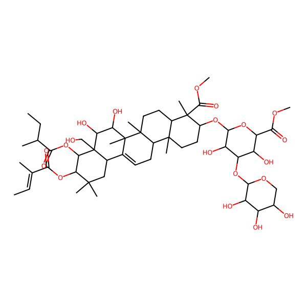 2D Structure of methyl (2S,3S,4S,5R,6R)-6-[[(3S,4S,4aR,6aR,6bS,7R,8S,8aR,9R,10R,12aS,14aR,14bR)-7,8-dihydroxy-8a-(hydroxymethyl)-4-methoxycarbonyl-4,6a,6b,11,11,14b-hexamethyl-9-[(2R)-2-methylbutanoyl]oxy-10-[(Z)-2-methylbut-2-enoyl]oxy-1,2,3,4a,5,6,7,8,9,10,12,12a,14,14a-tetradecahydropicen-3-yl]oxy]-3,5-dihydroxy-4-[(2S,3R,4S,5S)-3,4,5-trihydroxyoxan-2-yl]oxyoxane-2-carboxylate