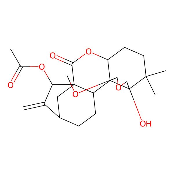 2D Structure of [(1S,4R,8R,9R,11R,12R,13S,16S,18R)-9-hydroxy-11-methoxy-7,7-dimethyl-17-methylidene-2-oxo-3,10-dioxapentacyclo[14.2.1.01,13.04,12.08,12]nonadecan-18-yl] acetate