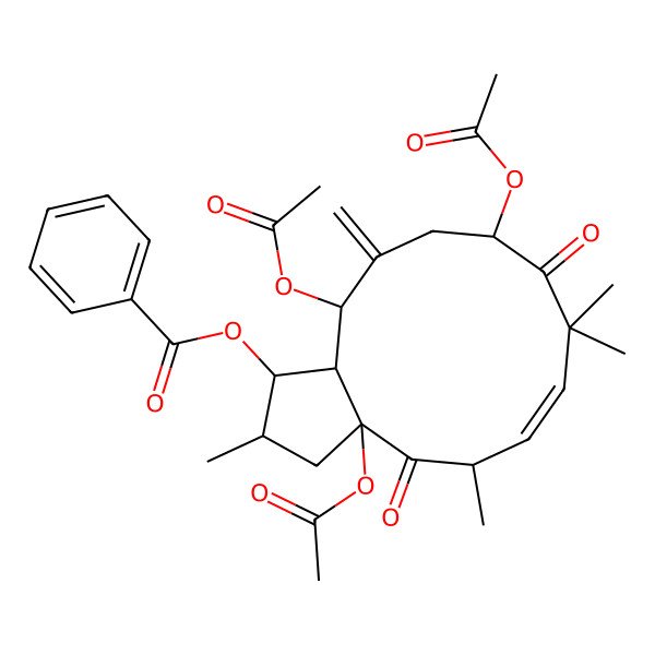 2D Structure of (3a,10,13-Triacetyloxy-2,5,8,8-tetramethyl-12-methylidene-4,9-dioxo-1,2,3,5,10,11,13,13a-octahydrocyclopenta[12]annulen-1-yl) benzoate