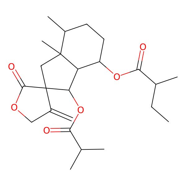 2D Structure of [(2R,3R,3aR,4S,7S,7aR)-7,7a-dimethyl-4'-methylidene-3-(2-methylpropanoyloxy)-2'-oxospiro[3,3a,4,5,6,7-hexahydro-1H-indene-2,3'-oxolane]-4-yl] (2R)-2-methylbutanoate