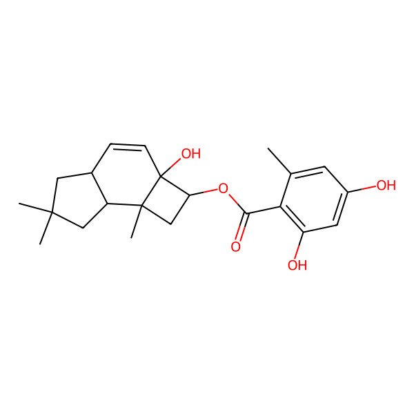 2D Structure of Armillasin