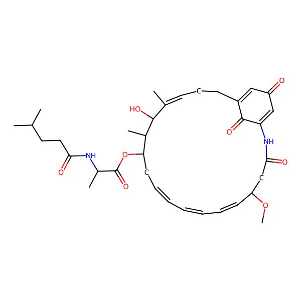 2D Structure of [(5R,6E,8E,10E,13S,14S,15R,16E)-15-hydroxy-5-methoxy-14,16-dimethyl-3,22,24-trioxo-2-azabicyclo[18.3.1]tetracosa-1(23),6,8,10,16,20-hexaen-13-yl] (2R)-2-(4-methylpentanoylamino)propanoate