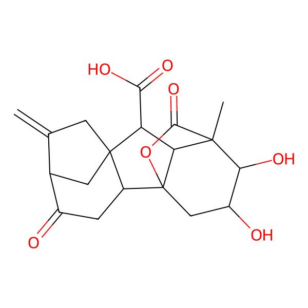 2D Structure of 12,13-Dihydroxy-11-methyl-6-methylidene-4,16-dioxo-15-oxapentacyclo[9.3.2.15,8.01,10.02,8]heptadecane-9-carboxylic acid