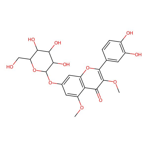 2D Structure of 2-(3,4-Dihydroxyphenyl)-3,5-dimethoxy-7-[3,4,5-trihydroxy-6-(hydroxymethyl)oxan-2-yl]oxychromen-4-one