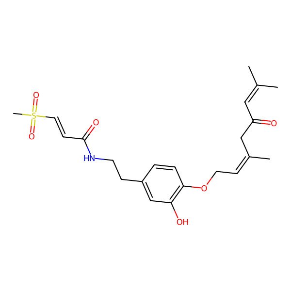 2D Structure of (E)-N-[2-[4-[(2E)-3,7-dimethyl-5-oxoocta-2,6-dienoxy]-3-hydroxyphenyl]ethyl]-3-methylsulfonylprop-2-enamide