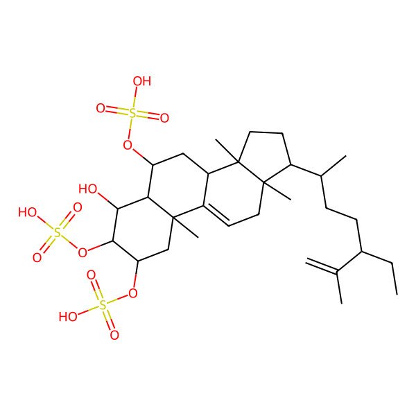 2D Structure of [(2S,3S,4R,5R,6S,8S,10S,13R,14S,17R)-17-[(2R)-5-ethyl-6-methylhept-6-en-2-yl]-4-hydroxy-10,13,14-trimethyl-2,3-disulfooxy-1,2,3,4,5,6,7,8,12,15,16,17-dodecahydrocyclopenta[a]phenanthren-6-yl] hydrogen sulfate