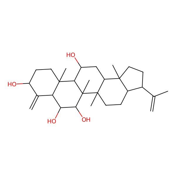 2D Structure of (3R,3aS,5aR,5bR,6R,7S,7aR,9S,11aR,11bR,12R,13aR,13bS)-5a,5b,11a,13b-tetramethyl-8-methylidene-3-prop-1-en-2-yl-1,2,3,3a,4,5,6,7,7a,9,10,11,11b,12,13,13a-hexadecahydrocyclopenta[a]chrysene-6,7,9,12-tetrol