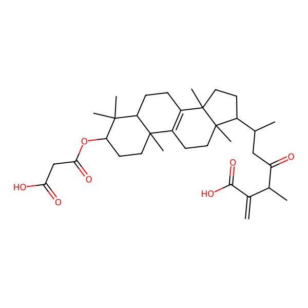 2D Structure of 6-[3-(2-carboxyacetyl)oxy-4,4,10,13,14-pentamethyl-2,3,5,6,7,11,12,15,16,17-decahydro-1H-cyclopenta[a]phenanthren-17-yl]-3-methyl-2-methylidene-4-oxoheptanoic acid