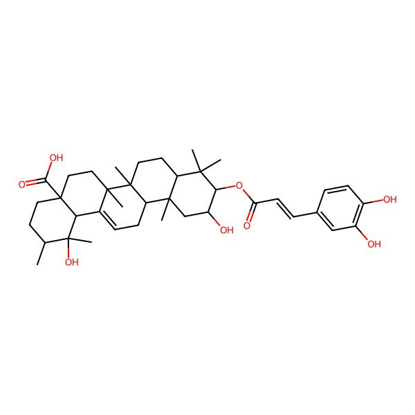 2D Structure of (2alpha,3beta)-3-[[(2E)-3-(3,4-Dihydroxyphenyl)-1-oxo-2-propen-1-yl]oxy]-2,19-dihydroxyurs-12-en-28-oic acid