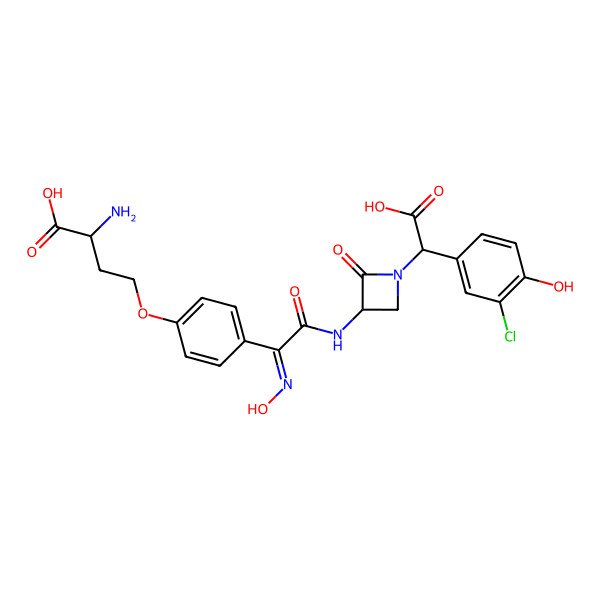 2D Structure of (2R)-2-amino-4-[4-[(E)-C-[[(3S)-1-[carboxy-(3-chloro-4-hydroxyphenyl)methyl]-2-oxoazetidin-3-yl]carbamoyl]-N-hydroxycarbonimidoyl]phenoxy]butanoic acid