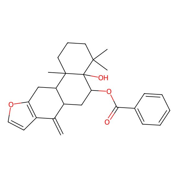 2D Structure of (4a-Hydroxy-4,4,11b-trimethyl-7-methylidene-1,2,3,5,6,6a,11,11a-octahydronaphtho[2,1-f][1]benzofuran-5-yl) benzoate