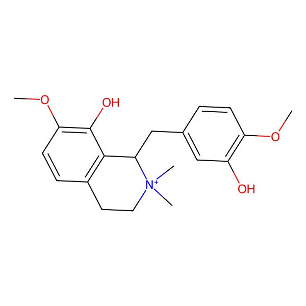 2D Structure of (1R)-1-[(3-hydroxy-4-methoxyphenyl)methyl]-7-methoxy-2,2-dimethyl-3,4-dihydro-1H-isoquinolin-2-ium-8-ol