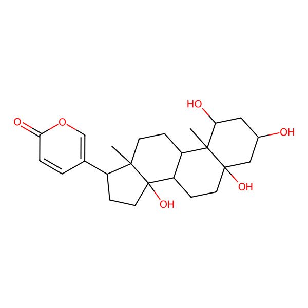 2D Structure of 5-(1,3,5,14-tetrahydroxy-10,13-dimethyl-2,3,4,6,7,8,9,11,12,15,16,17-dodecahydro-1H-cyclopenta[a]phenanthren-17-yl)pyran-2-one