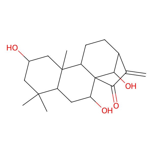 2D Structure of (1S,2R,4R,7S,9R,10S,13R,16R)-2,7,16-trihydroxy-5,5,9-trimethyl-14-methylidenetetracyclo[11.2.1.01,10.04,9]hexadecan-15-one