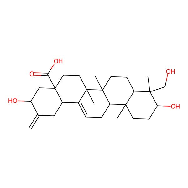 2D Structure of 3,10-Dihydroxy-9-(hydroxymethyl)-6a,6b,9,12a-tetramethyl-2-methylidene-1,3,4,5,6,6a,7,8,8a,10,11,12,13,14b-tetradecahydropicene-4a-carboxylic acid