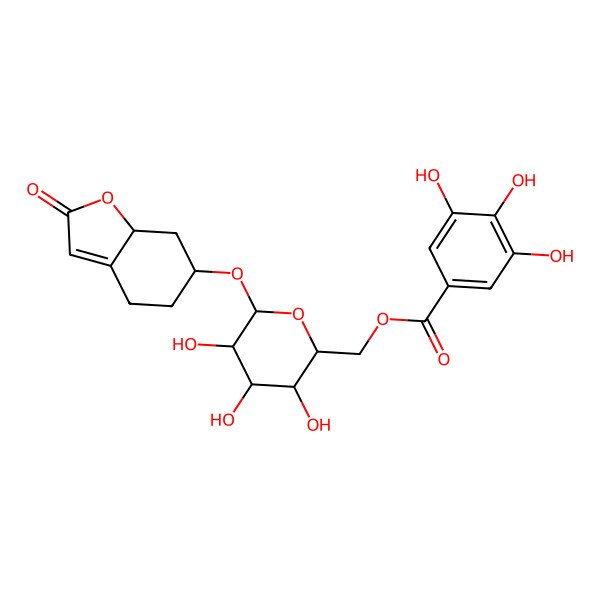 2D Structure of [(2R,3R,4S,5R,6R)-6-[[(6S,7aS)-2-oxo-5,6,7,7a-tetrahydro-4H-1-benzofuran-6-yl]oxy]-3,4,5-trihydroxyoxan-2-yl]methyl 3,4,5-trihydroxybenzoate