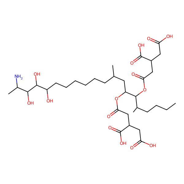 2D Structure of (2R)-2-[2-[(5S,6S,7S,9R,16S,17S,18R,19S)-19-amino-6-[(3R)-3,4-dicarboxybutanoyl]oxy-16,17,18-trihydroxy-5,9-dimethylicosan-7-yl]oxy-2-oxoethyl]butanedioic acid