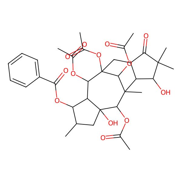 2D Structure of [(1R,2R,3R,4S,5S,7R,8R,9R,10S,11S,14R,16S)-1,2,8,16-tetraacetyloxy-7,11-dihydroxy-5,9,12,12-tetramethyl-13-oxo-4-tetracyclo[7.6.1.03,7.010,14]hexadecanyl] benzoate
