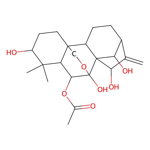 2D Structure of [(1R,2S,5S,7R,8R,9S,10S,11S,13R,18R)-7,9,13,18-tetrahydroxy-12,12-dimethyl-6-methylidene-17-oxapentacyclo[7.6.2.15,8.01,11.02,8]octadecan-10-yl] acetate