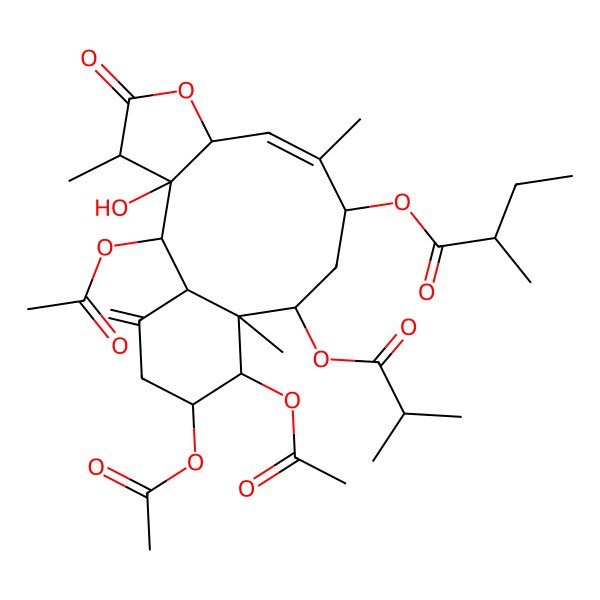 2D Structure of [(1S,2S,3S,4R,7S,8Z,10R,12S,13S,14R,15S)-2,14,15-triacetyloxy-3-hydroxy-4,9,13-trimethyl-17-methylidene-12-(2-methylpropanoyloxy)-5-oxo-6-oxatricyclo[11.4.0.03,7]heptadec-8-en-10-yl] (2R)-2-methylbutanoate