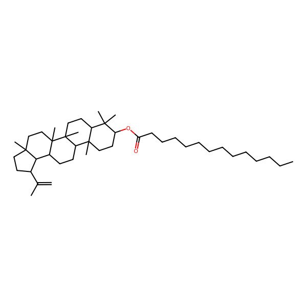 2D Structure of [(1R,3aR,5aR,5bR,7aR,9S,11aR,11bR,13aR,13bR)-3a,5a,5b,8,8,11a-hexamethyl-1-prop-1-en-2-yl-1,2,3,4,5,6,7,7a,9,10,11,11b,12,13,13a,13b-hexadecahydrocyclopenta[a]chrysen-9-yl] tetradecanoate