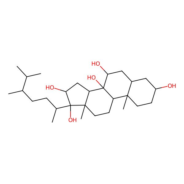 2D Structure of 17-(5,6-dimethylheptan-2-yl)-10,13-dimethyl-2,3,4,5,6,7,9,11,12,14,15,16-dodecahydro-1H-cyclopenta[a]phenanthrene-3,7,8,16,17-pentol