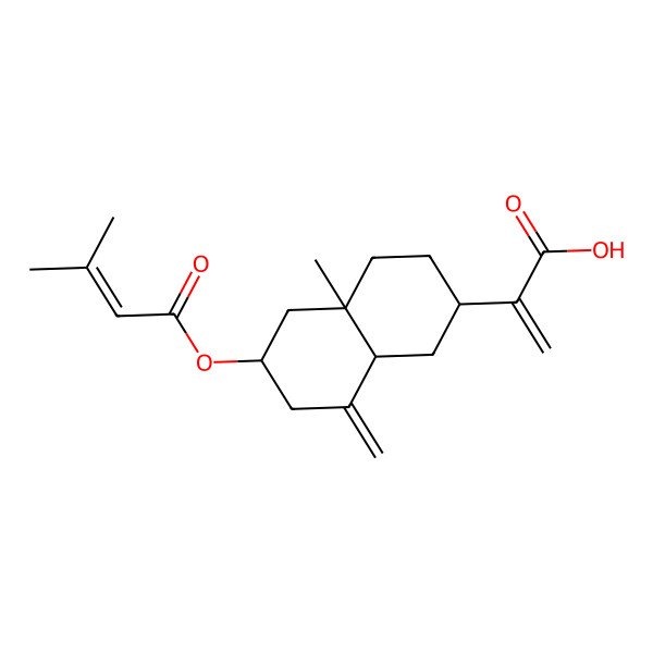 2D Structure of 2-[4a-Methyl-6-(3-methylbut-2-enoyloxy)-8-methylidene-1,2,3,4,5,6,7,8a-octahydronaphthalen-2-yl]prop-2-enoic acid