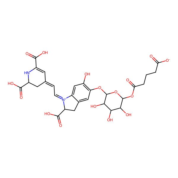 2D Structure of 5-[(2R,3S,4R,5R)-6-[[(2S)-2-carboxy-1-[2-(2,6-dicarboxy-2,3-dihydro-1H-pyridin-4-ylidene)ethylidene]-6-hydroxy-2,3-dihydroindol-1-ium-5-yl]oxy]-3,4,5-trihydroxyoxan-2-yl]oxy-5-oxopentanoate