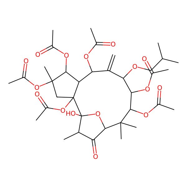 2D Structure of [2,4,5,7,11-Pentaacetyloxy-1-hydroxy-4,12,12,15-tetramethyl-8-methylidene-9-(2-methylpropoxy)-14-oxo-16-oxatricyclo[11.2.1.02,6]hexadecan-10-yl] acetate