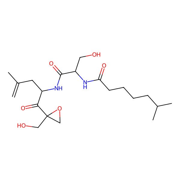 2D Structure of N-[1,3-Dihydroxy-1-({1-[2-(hydroxymethyl)oxiran-2-yl]-4-methyl-1-oxopent-4-en-2-yl}imino)propan-2-yl]-6-methylheptanimidic acid
