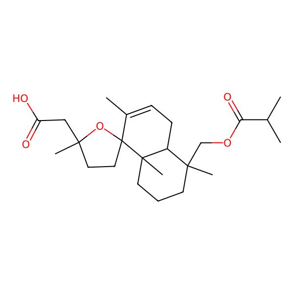 2D Structure of 2-[(2'S,4R,4aS,8R,8aS)-2',4,7,8a-tetramethyl-4-(2-methylpropanoyloxymethyl)spiro[2,3,4a,5-tetrahydro-1H-naphthalene-8,5'-oxolane]-2'-yl]acetic acid