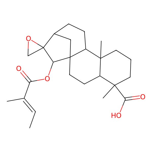 2D Structure of (1'R,2S,4'S,5'R,9'S,10'S,13'R,15'R)-5',9'-dimethyl-15'-[(Z)-2-methylbut-2-enoyl]oxyspiro[oxirane-2,14'-tetracyclo[11.2.1.01,10.04,9]hexadecane]-5'-carboxylic acid