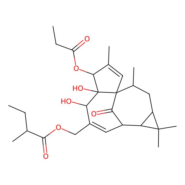 2D Structure of (5,6-Dihydroxy-3,11,11,14-tetramethyl-15-oxo-4-propanoyloxy-7-tetracyclo[7.5.1.01,5.010,12]pentadeca-2,7-dienyl)methyl 2-methylbutanoate