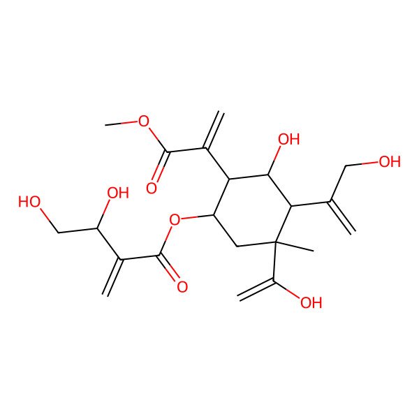 2D Structure of [3-Hydroxy-5-(1-hydroxyethenyl)-4-(3-hydroxyprop-1-en-2-yl)-2-(3-methoxy-3-oxoprop-1-en-2-yl)-5-methylcyclohexyl] 3,4-dihydroxy-2-methylidenebutanoate