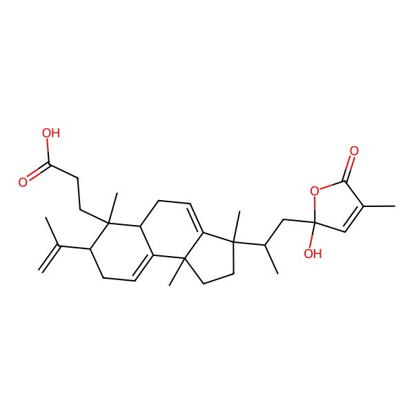 2D Structure of 3-[(3S,5aS,6S,7S,9bS)-3-[(2R)-1-[(2R)-2-hydroxy-4-methyl-5-oxofuran-2-yl]propan-2-yl]-3,6,9b-trimethyl-7-prop-1-en-2-yl-1,2,5,5a,7,8-hexahydrocyclopenta[a]naphthalen-6-yl]propanoic acid