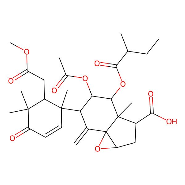 2D Structure of 5-Acetyloxy-6-[6-(2-methoxy-2-oxoethyl)-1,5,5-trimethyl-4-oxocyclohex-2-en-1-yl]-3a-methyl-4-(2-methylbutanoyloxy)-7-methylidene-1a,2,3,4,5,6-hexahydroindeno[3,3a-b]oxirene-3-carboxylic acid