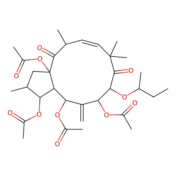 2D Structure of [(1S,2S,3aR,5R,6E,10R,11S,13R,13aR)-3a,11,13-triacetyloxy-10-[(2S)-butan-2-yl]oxy-2,5,8,8-tetramethyl-12-methylidene-4,9-dioxo-1,2,3,5,10,11,13,13a-octahydrocyclopenta[12]annulen-1-yl] acetate